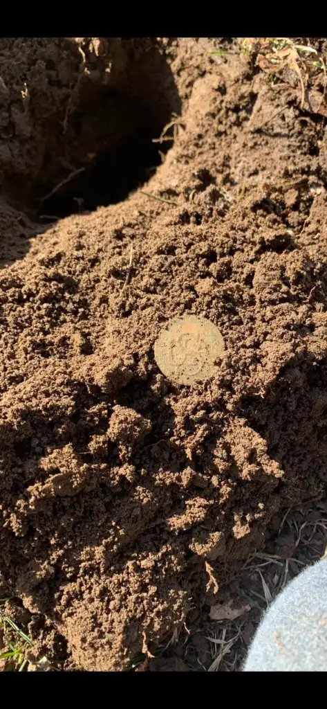 A coin partially buried in a pile of dark brown soil under sunlight. The detailed design on the coin is visible.