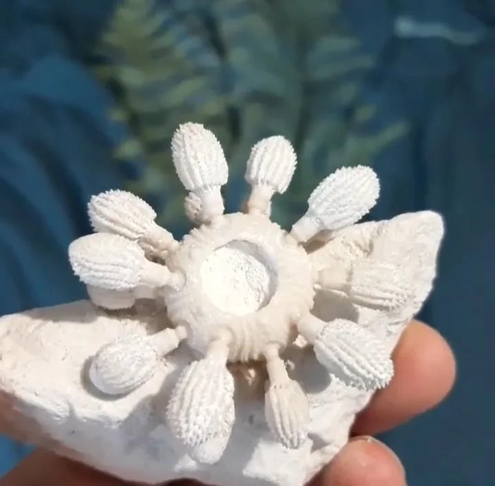 Close-up of a hand holding a white, textured sculpture resembling a circular arrangement of elongated shapes on a rock. The background features out-of-focus green foliage against a blue backdrop.