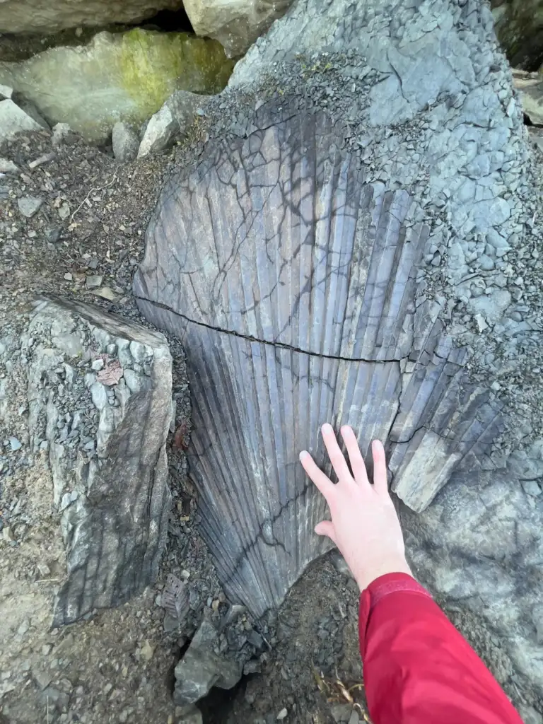 A hand touches a large, weathered rock with distinctive vertical grooves and layers. The rock is embedded in the ground, surrounded by smaller stones and dirt. A red sleeve is visible on the person's arm.