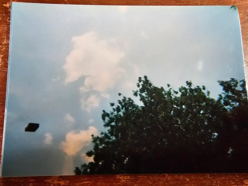 A photograph of a daytime sky with scattered clouds. In the foreground, tree branches with leaves stretch upward. A dark, indistinct object is captured in the sky on the left side of the image.