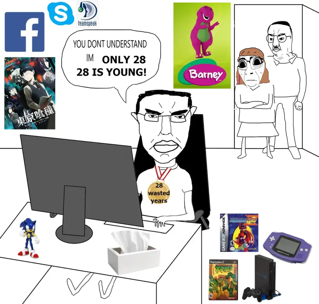 A cartoon of a man at a computer with a "28 wasted years" shirt, surrounded by anime, video games, and social media logos. A couple stands in the background. Posters of Barney and games are visible. A tissue box and Sonic figurine are on the desk.