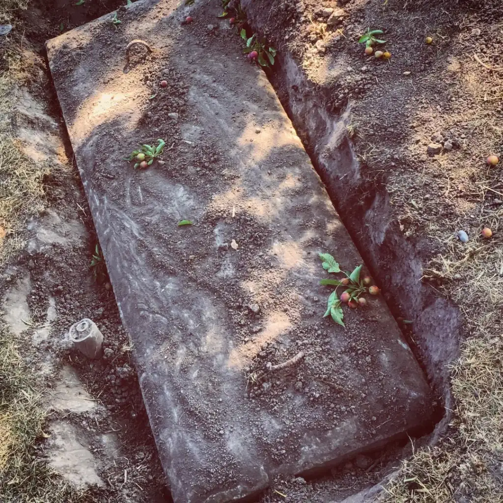 A freshly dug grave in a cemetery features a dirt-covered surface with scattered small plants and acorns. Scattered sunlight creates dappled shadows across the grave, adding texture to the scene.