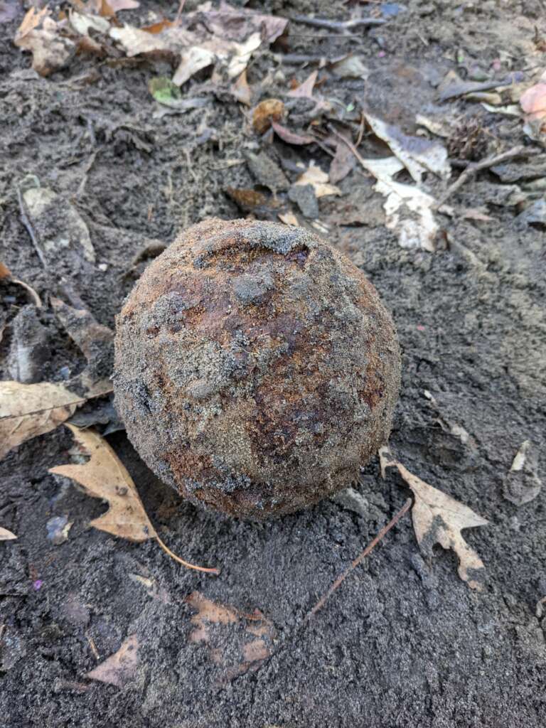 A rusty, spherical object partially covered with dirt lies on the ground among dry leaves and soil. The surface appears corroded and textured.