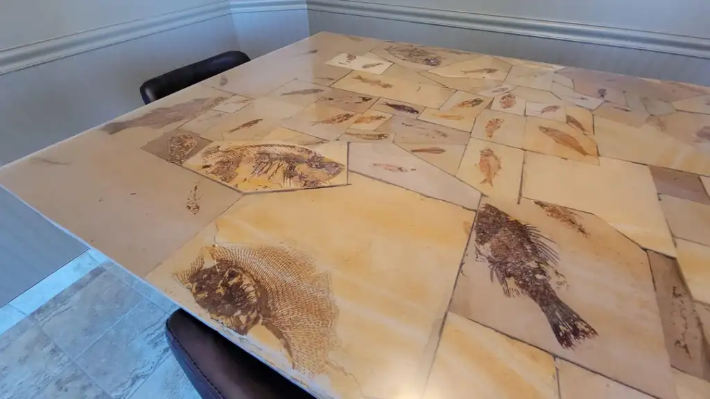 A stone tabletop with embedded fish fossils, showcasing various sizes and orientations. The table is positioned in a bright corner of a room with light-colored walls and a tiled floor. A single dark chair is visible beside the table.