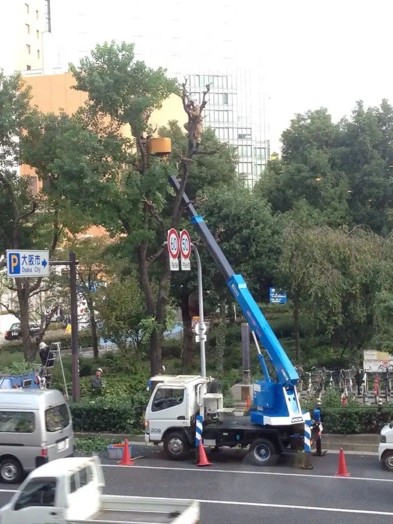 A worker in a harness trims a tree using a chainsaw while standing on a raised platform attached to a blue crane truck. The scene is by a road in Osaka City, marked by a road sign, with traffic and bicycles in the background.