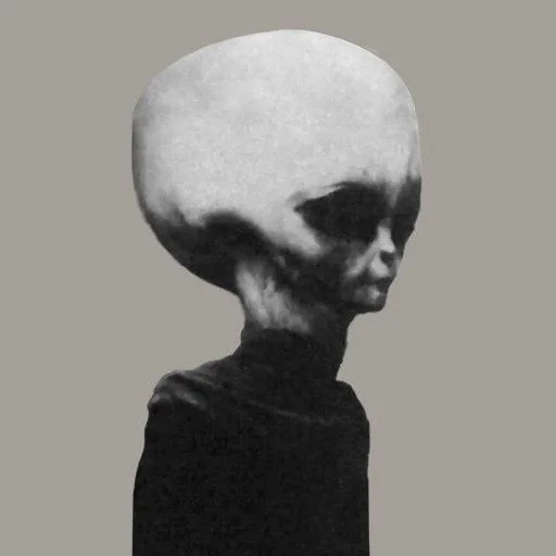 A monochrome image of an alien-like figure with an elongated, large head. The figure has dark, deep-set eyes and a small mouth, with a body draped in a dark garment. The background is a plain, neutral gray.