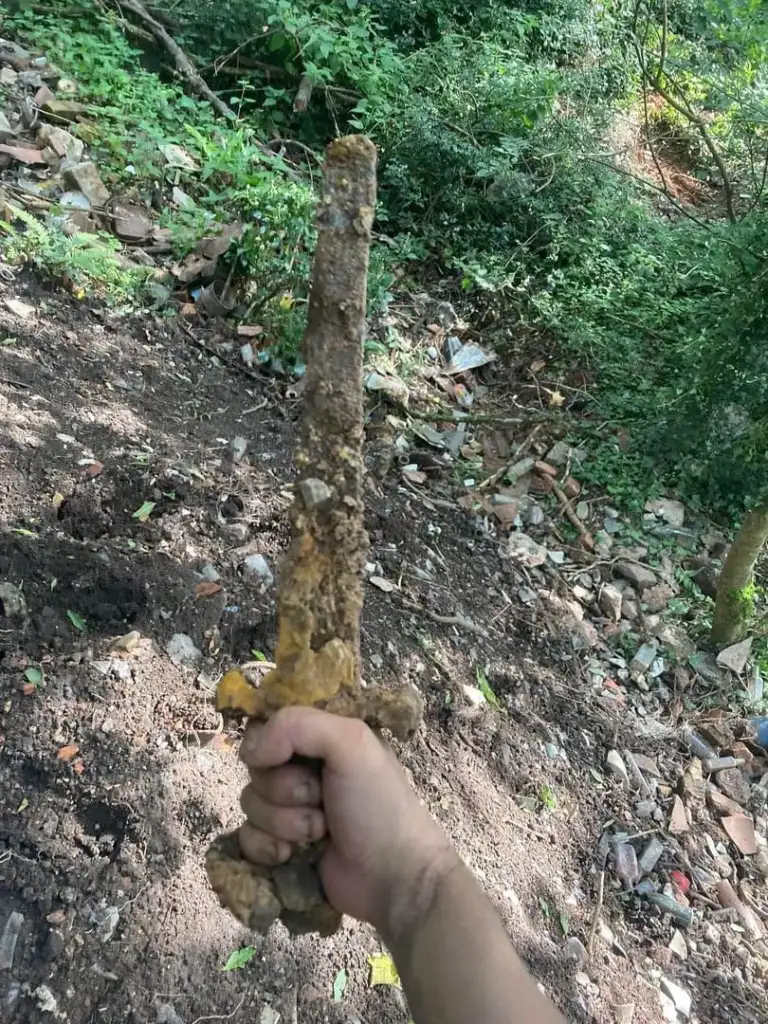 A person holds an ancient, rusted sword covered in dirt and debris. The background shows a forested area with scattered leaves and underbrush, suggesting the sword was recently unearthed.