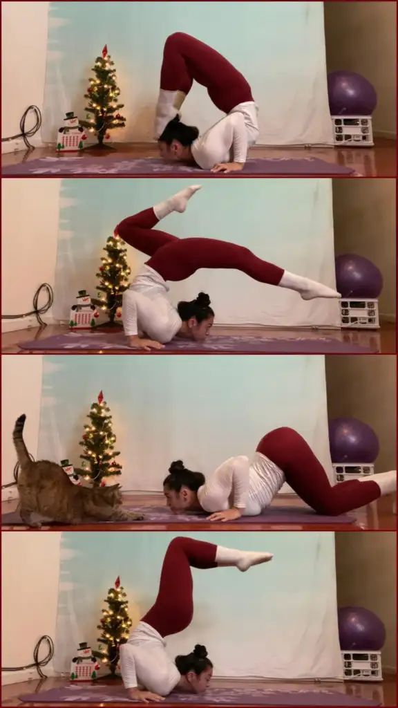 A woman practices yoga, balancing in various poses on a mat indoors. She wears red leggings and a white top. A decorated Christmas tree is in the background, and a cat observes her. A yoga ball is also visible.