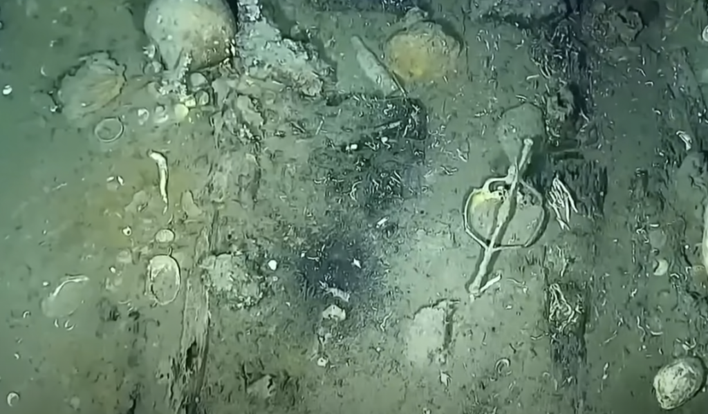 Underwater image of a shipwreck, showing a corroded and encrusted wooden plank. Marine life such as barnacles and shells are visible, illustrating the vessel's age and long submersion. The greenish hue indicates underwater lighting conditions.