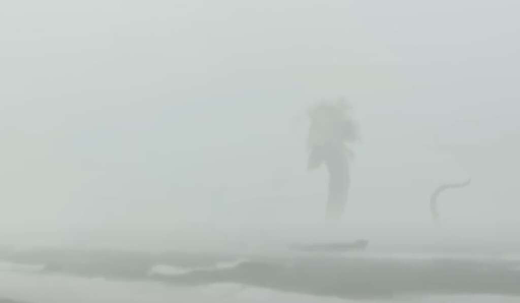 A misty, fog-covered scene with a faint silhouette of a palm tree barely visible in the background. The foreground shows a small patch of beach and blurry waves. Visibility is low, creating an eerie and mystic atmosphere.