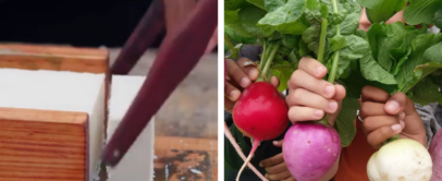 Left side shows a block of tofu being sliced with a knife. Right side features three hands holding up red, purple, and white turnips with green leaves.