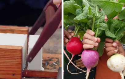 Left side shows a block of tofu being sliced with a knife. Right side features three hands holding up red, purple, and white turnips with green leaves.