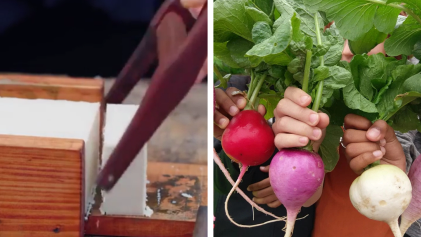 Left side shows a block of tofu being sliced with a knife. Right side features three hands holding up red, purple, and white turnips with green leaves.