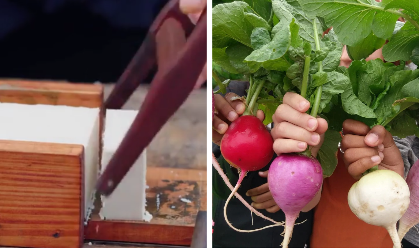 Left side shows a block of tofu being sliced with a knife. Right side features three hands holding up red, purple, and white turnips with green leaves.