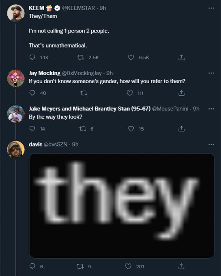 Screenshot of a Twitter thread. The main tweet underlines the use of "They/Them" for individuals. Replies question this usage, discuss gender references, and make a joke about appearance. An image in one reply highlights the word "they" in bold.