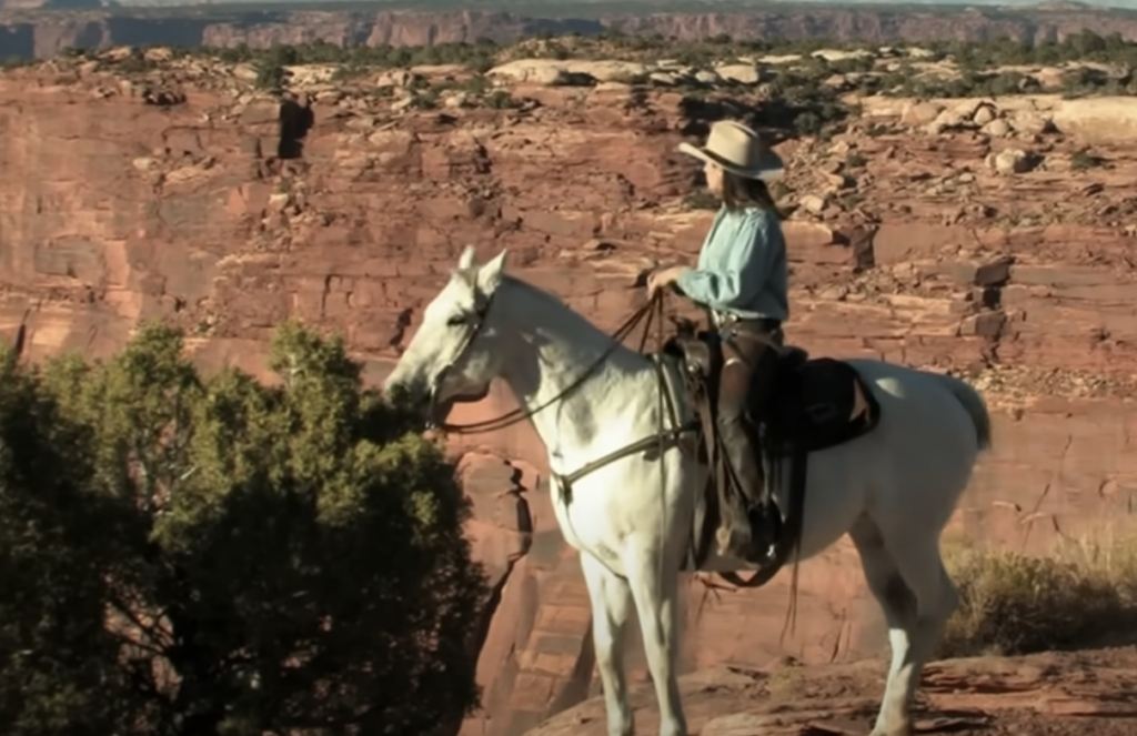 A person wearing a cowboy hat and blue shirt rides a white horse, overlooking a vast canyon landscape. They are near a bush, with red rock formations and a clear sky in the background.