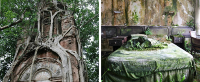 Left: An old brick tower entwined with thick tree roots reaching skyward. Right: An abandoned room with a bed covered in moss and ferns, surrounded by decaying walls and a green-tinged ceiling.