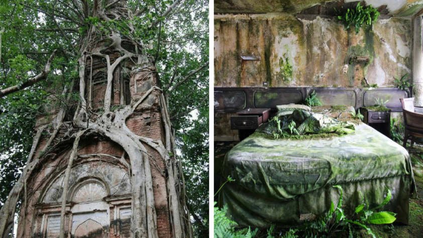 Left: An old brick tower entwined with thick tree roots reaching skyward. Right: An abandoned room with a bed covered in moss and ferns, surrounded by decaying walls and a green-tinged ceiling.