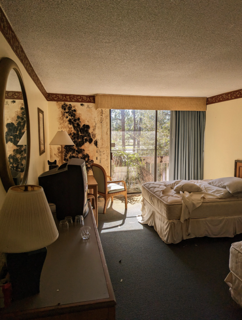 A dimly lit hotel room with an unmade bed and a TV on a dresser. A mirror and lamp are on the left. Sunlight filters through a partially open curtain, revealing an outdoor view with trees. A chair and a small table are near the window.