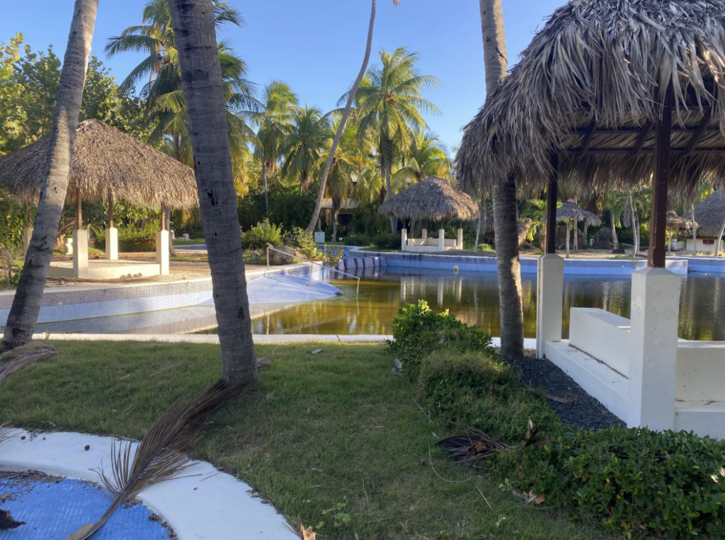 A tropical resort scene with palm trees, thatched-roof huts, and a partially filled swimming pool. The area is surrounded by greenery and has a serene, sunny atmosphere.