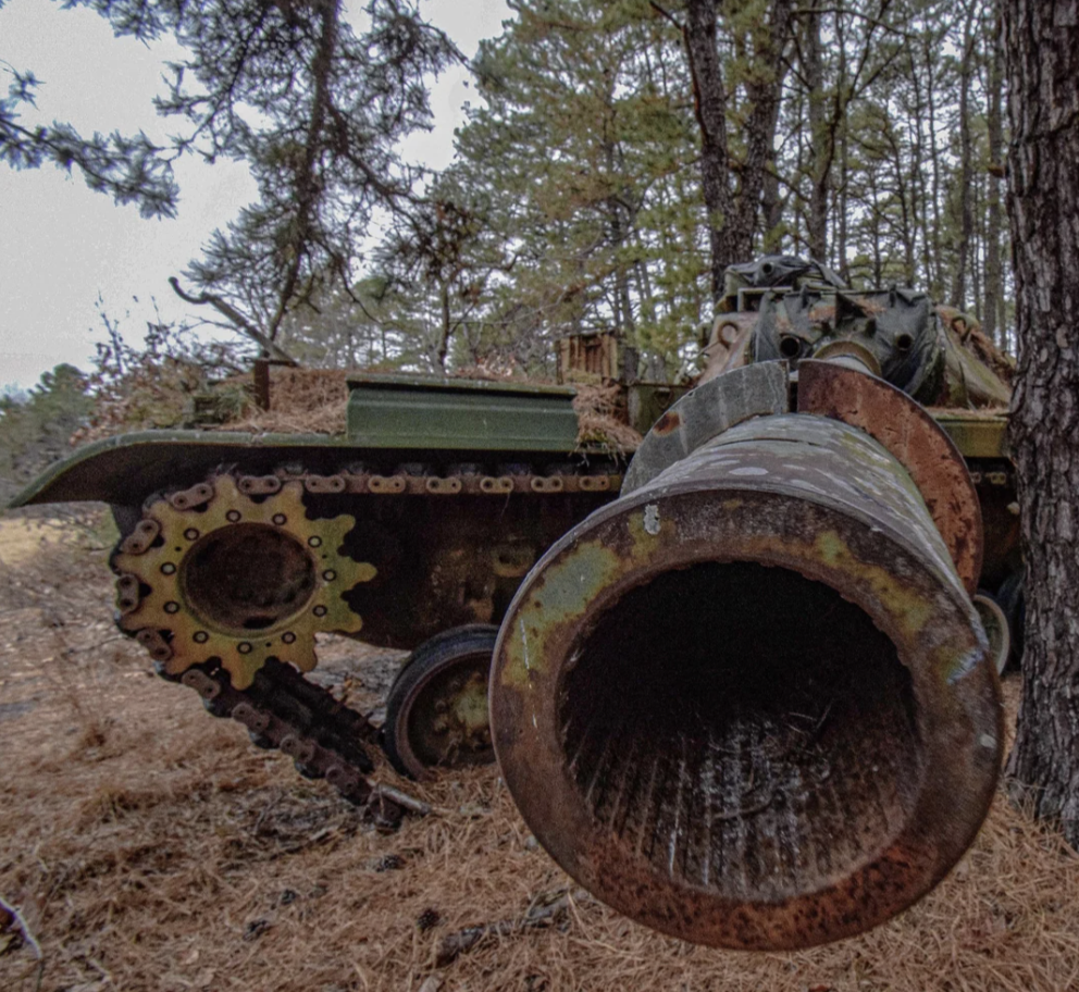 An abandoned and rusting military tank sits partially obscured by pine trees. The tank's turret is missing, and its large, hollow barrel is prominently visible. The ground is covered with dry pine needles.