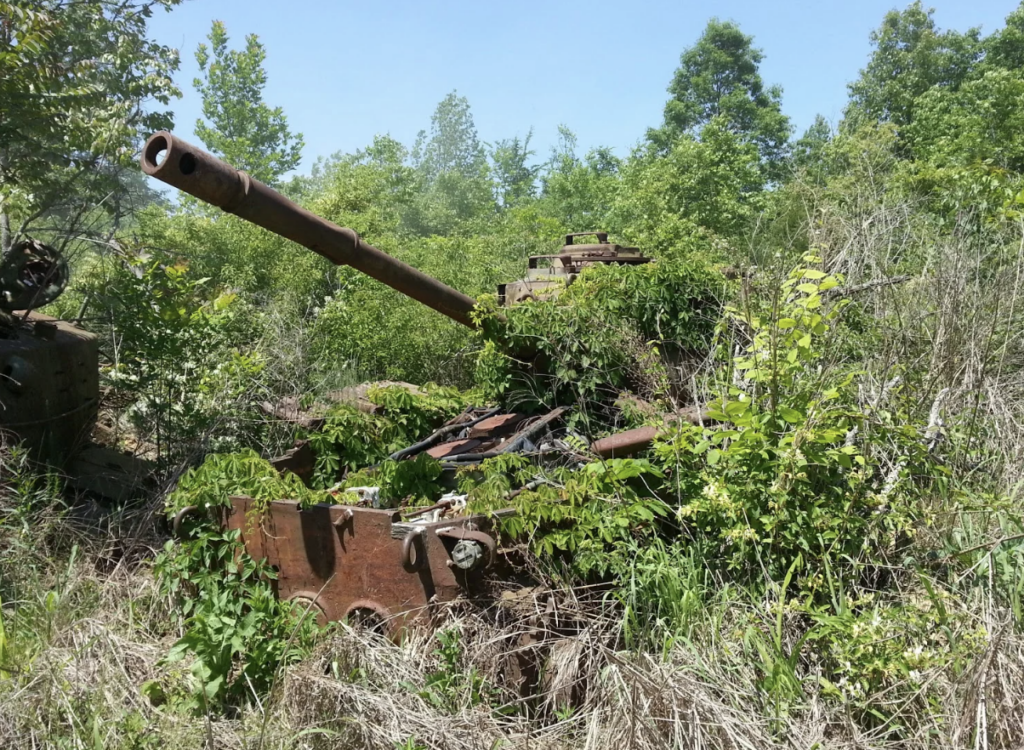 A rusted, abandoned tank overgrown with dense green vegetation and surrounded by trees and shrubs on a sunny day. The tank's turret and barrel are visible amidst the foliage, blending into the natural landscape.