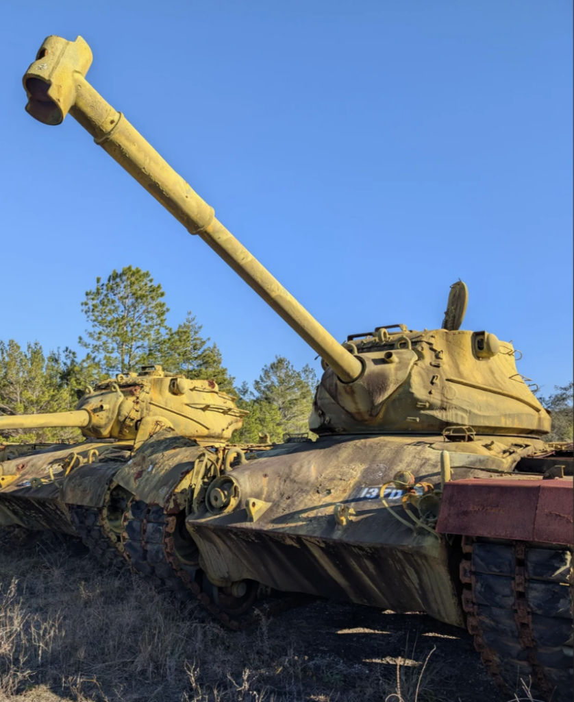 Two weathered military tanks with long barrels are positioned in a grassy area, facing slightly to the right. The tanks are surrounded by sparse vegetation and trees under a clear blue sky.