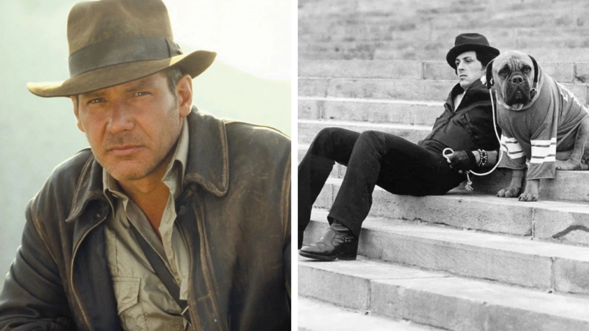 Left: A man in a fedora and leather jacket looks intently. Right: A person sitting on steps with a dog wearing a sweater, both looking in the same direction.