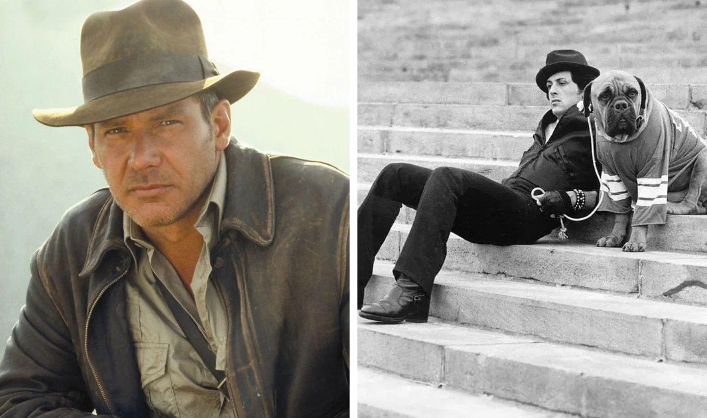 Left: A man in a fedora and leather jacket looks intently. Right: A person sitting on steps with a dog wearing a sweater, both looking in the same direction.