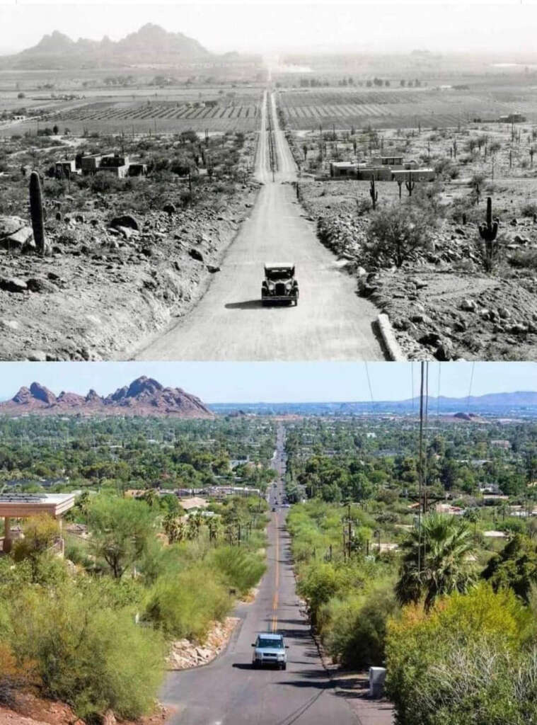 A black-and-white image of a vintage car on a desert road contrasts with a modern color photo of a similar road now bordered by greenery and development. The top photo shows sparse desert, while the bottom one shows urban expansion and vegetation.