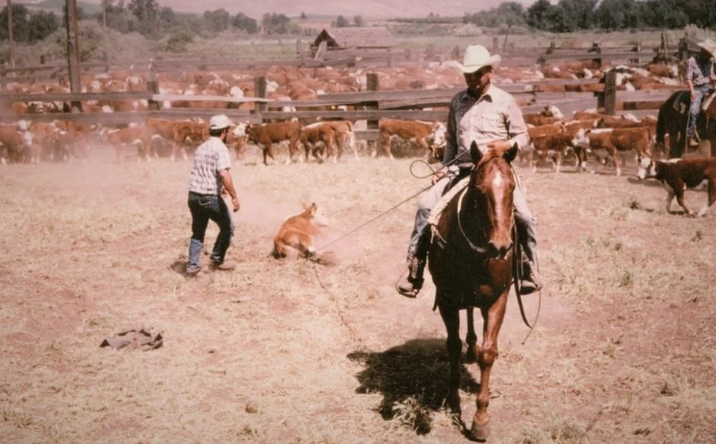 A cowboy on a horse watches over cattle in a dusty corral. Another cowboy walks nearby as a dog sits on the ground. There are wooden fences, cattle, and a barn in the background under a clear sky.