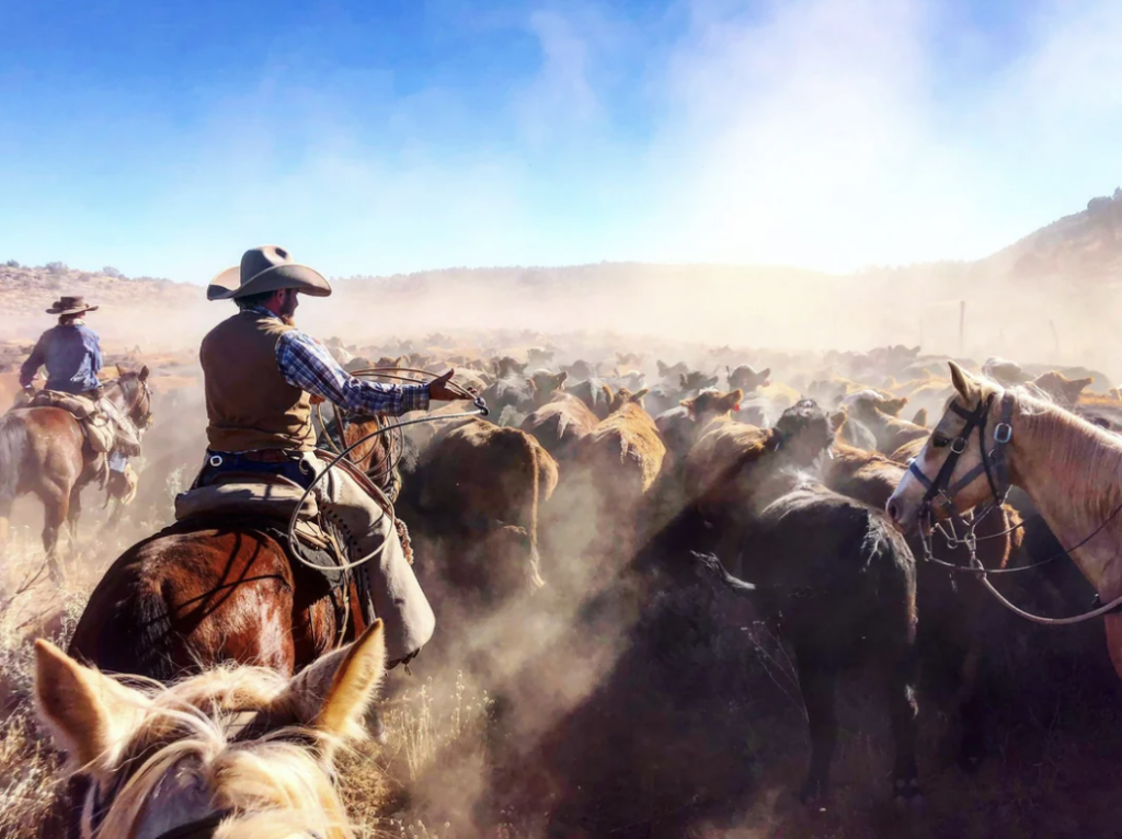 Cowboys on horseback drive a herd of cattle through a dusty landscape under a clear blue sky. Dust rises around the animals, creating a hazy atmosphere. The scene conveys motion and rural life.