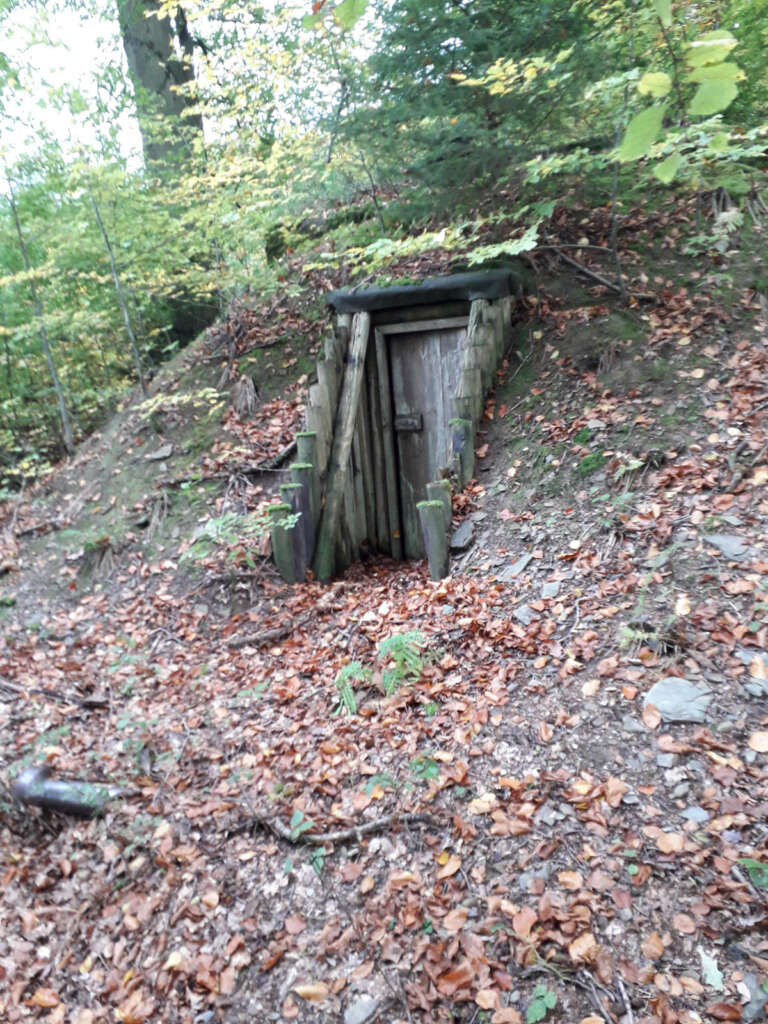 A small, weathered wooden door is set into a mossy hillside, surrounded by trees and fallen leaves. The scene suggests a hidden entryway, blending into the natural landscape with green foliage overhead.