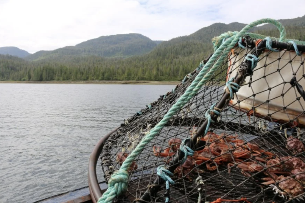 A crab pot filled with crabs sits on a boat, surrounded by netting and ropes. In the background, a serene body of water is bordered by a dense forest and distant hills under a cloudy sky.