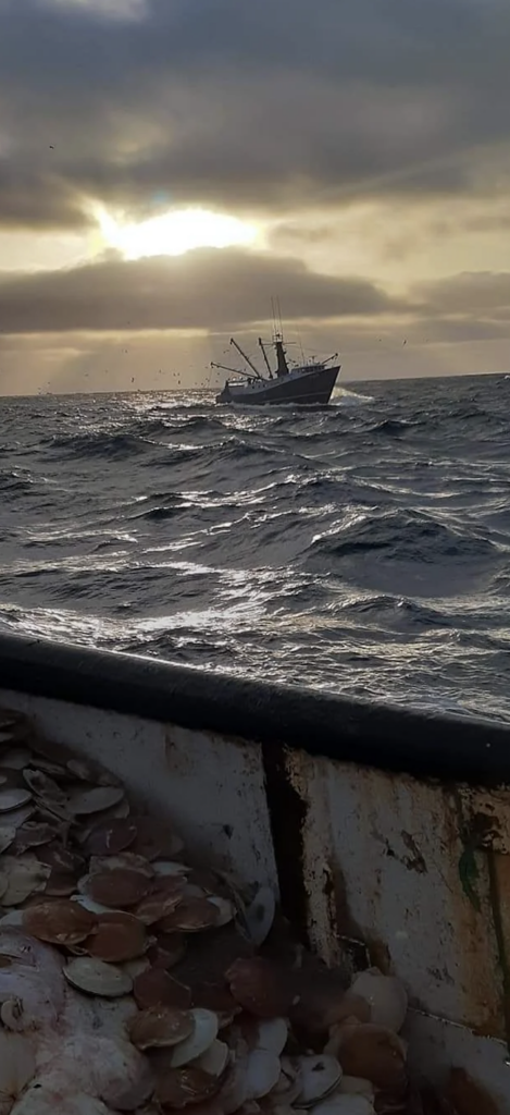 Fishing boat on a choppy sea under an overcast sky at sunset. The foreground shows a pile of shells on a weathered metal surface.