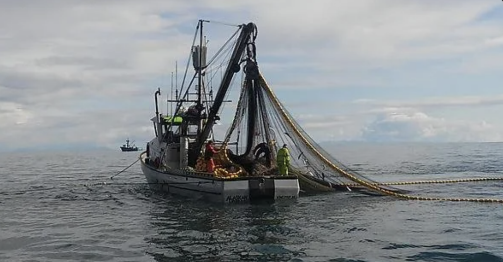 A fishing boat with nets cast is on a calm sea under a cloudy sky. Several people are on board, tending to the nets. Another boat is visible in the distance.