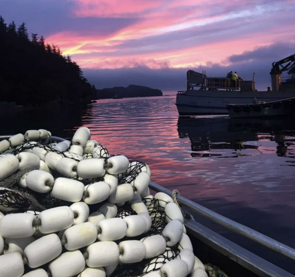 A pile of white fishing buoys is in the foreground on a boat. The background features a serene water scene at sunset with a purple and pink sky, silhouetted trees on the left, and another boat on the right.