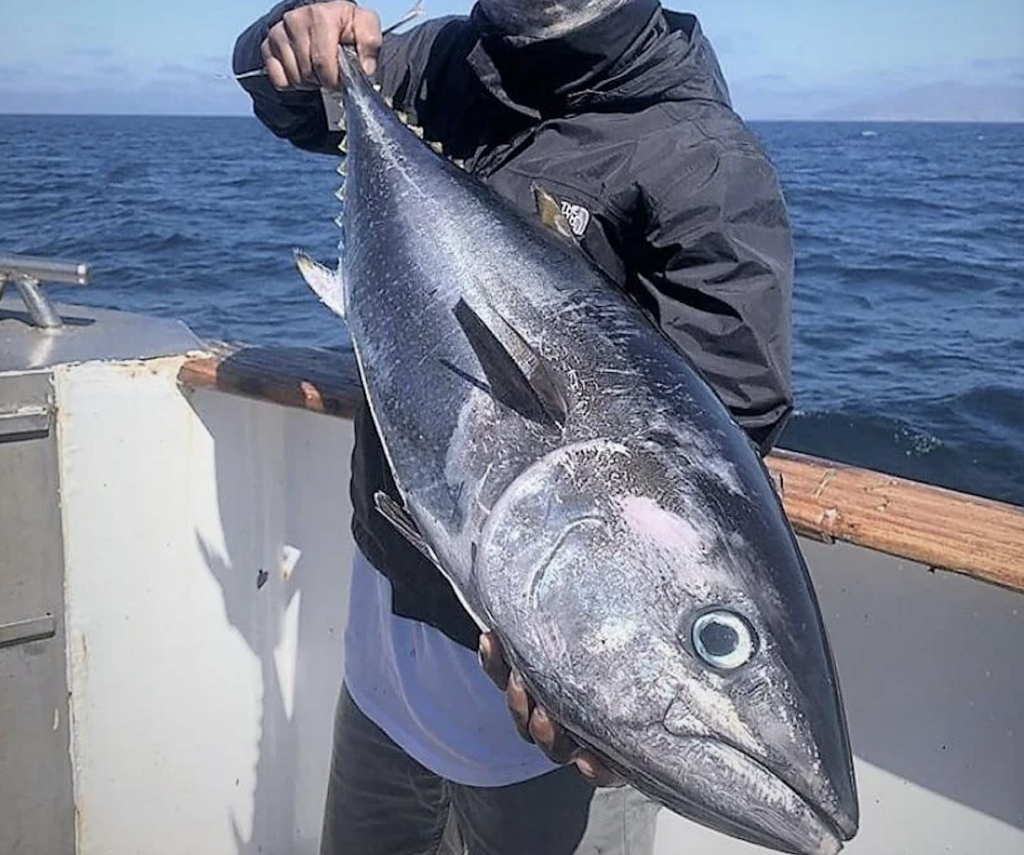 A person holding a large, silvery tuna fish on a boat with the ocean in the background. The person is wearing a dark jacket and the sky appears cloudy.