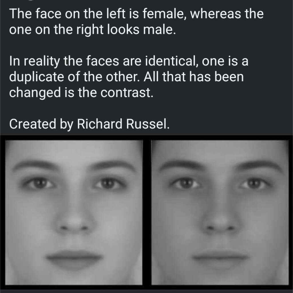 Two grayscale faces side by side, both appear identical. The left face appears more feminine, while the right looks more masculine. The difference is due to contrast changes. Text explains this illusion was created by Richard Russel.