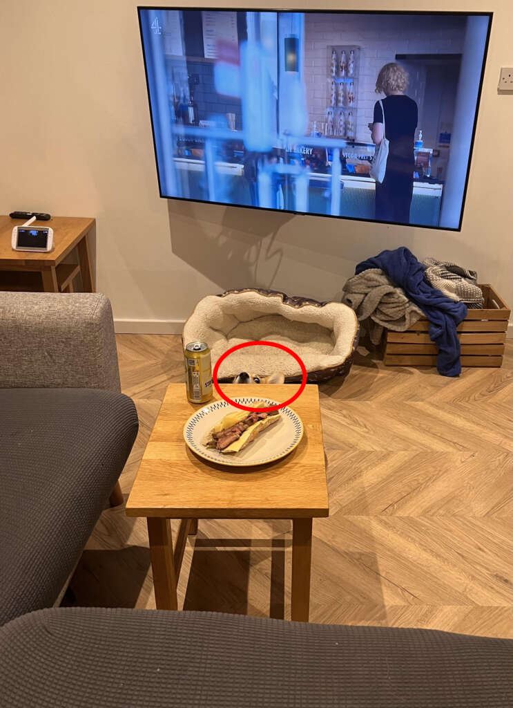 A living room scene with a TV showing a person inside a cafe. A small dog lies in a pet bed on the floor. A wooden table holds a half-eaten sandwich on a plate and a beverage can. A remote is on a side table.