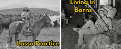 Left side: A cowboy on horseback practicing lassoing in a field. Right side: A person relaxing on a hay bale inside a barn, with "Living in Barns" written above. Both images are black and white with captions.