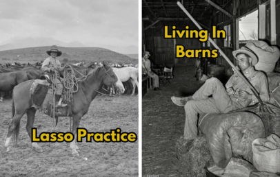 Left side: A cowboy on horseback practicing lassoing in a field. Right side: A person relaxing on a hay bale inside a barn, with "Living in Barns" written above. Both images are black and white with captions.