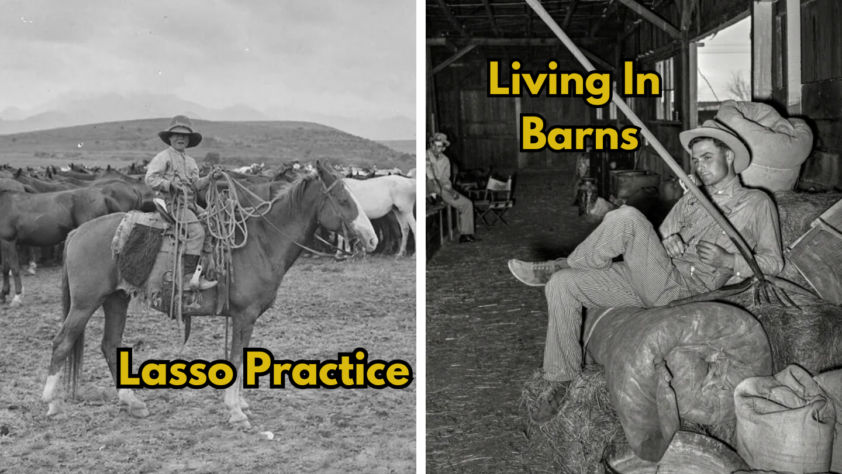 Left side: A cowboy on horseback practicing lassoing in a field. Right side: A person relaxing on a hay bale inside a barn, with "Living in Barns" written above. Both images are black and white with captions.