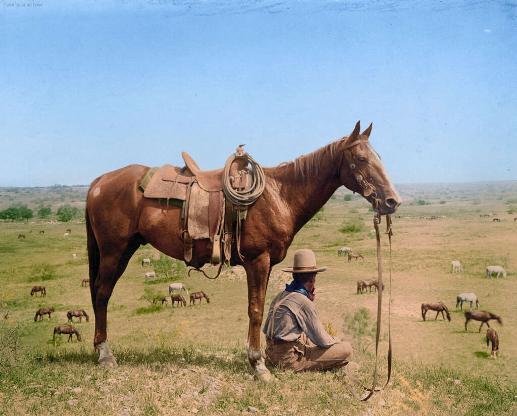 A cowboy wearing a wide-brimmed hat sits on grass beside a saddled horse. The horse has a rope coiled on its saddle. In the background, a vast grassy plain with many horses grazing under a clear blue sky.