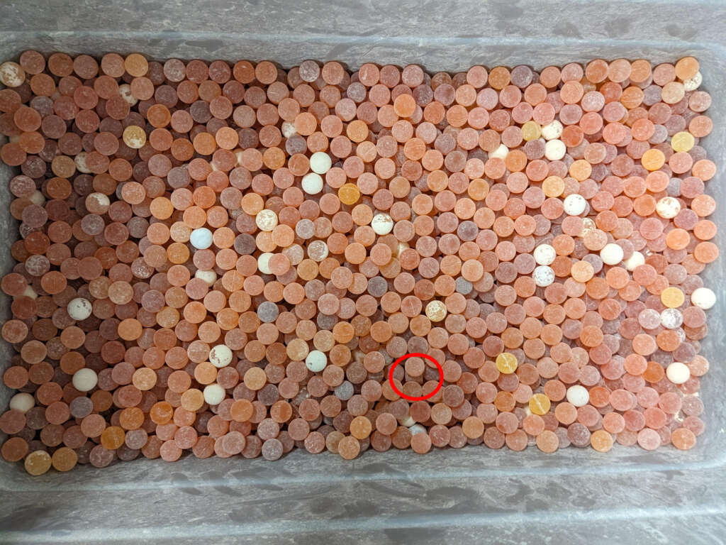 A tray filled with numerous orange, white, and pink round tablets. One tablet near the bottom is marked with a red circle.