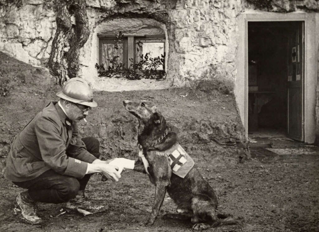 A man wearing a helmet and uniform crouches to feed or interact with a dog wearing a medical harness. They are outside a rustic stone building with an open door and a small window. The scene suggests a wartime or rescue setting.