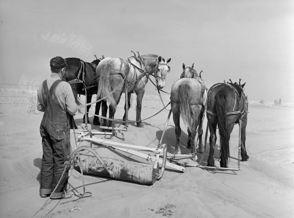 A man in overalls and a cap stands beside a team of four horses pulling a piece of farming equipment across a barren, sandy landscape. The sky is clear, and the scene appears desolate.