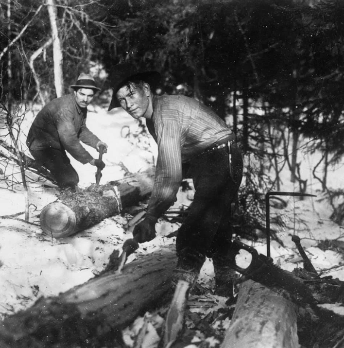 Two men in hats are sawing a large log in a snowy forest. They are focused on their task, surrounded by fallen branches and trees. Both are wearing heavy clothing, suitable for cold weather.