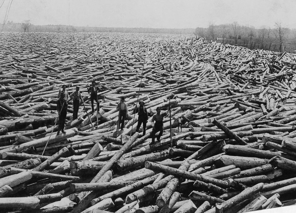 A black-and-white photo shows six men standing atop a vast expanse of logs floating on a river, using poles to navigate. The scene stretches to the horizon, with sparse trees visible in the background.