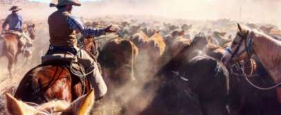 Two cowboys on horseback herd a large group of cattle through a dusty landscape. The scene is sunlit, creating a warm, hazy atmosphere. One cowboy, in a hat and vest, is prominent on the right with horses surrounding him.